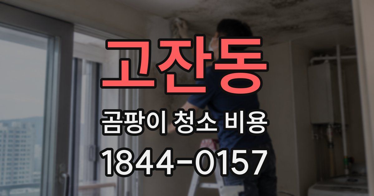 고잔동 곰팡이 청소 비용
