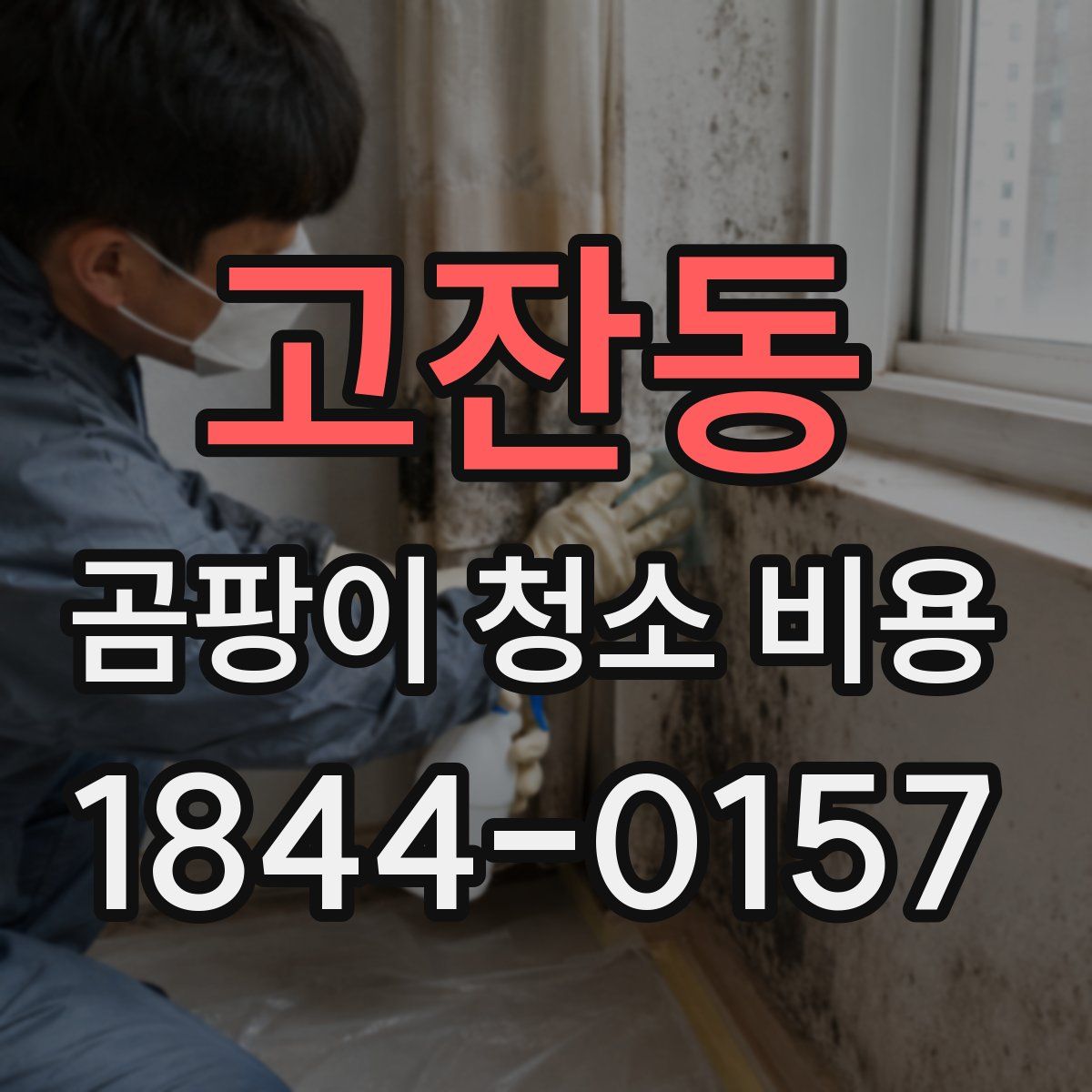 고잔동 곰팡이 청소 비용