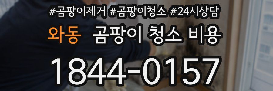 와동 곰팡이 청소 비용