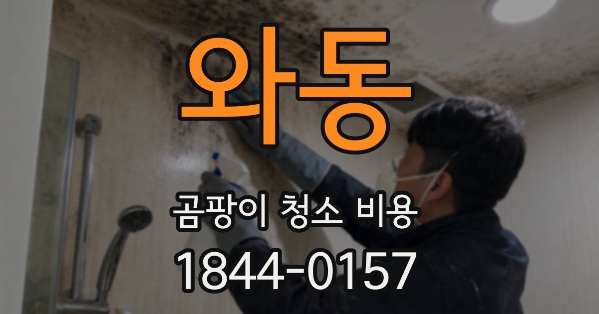 와동 곰팡이 청소 비용