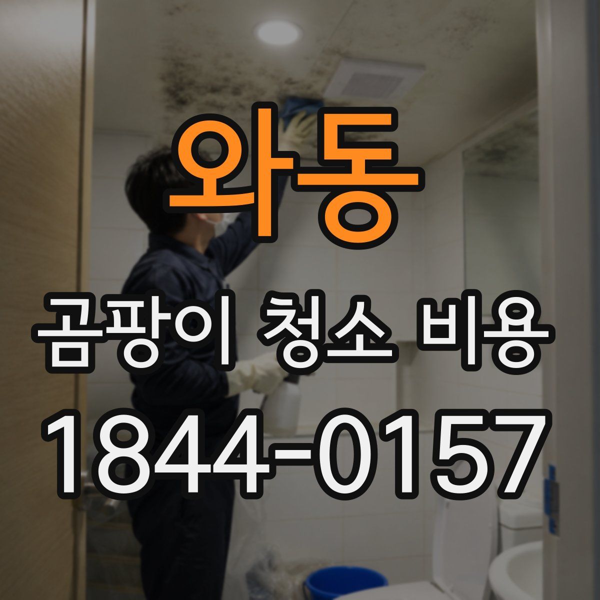 와동 곰팡이 청소 비용