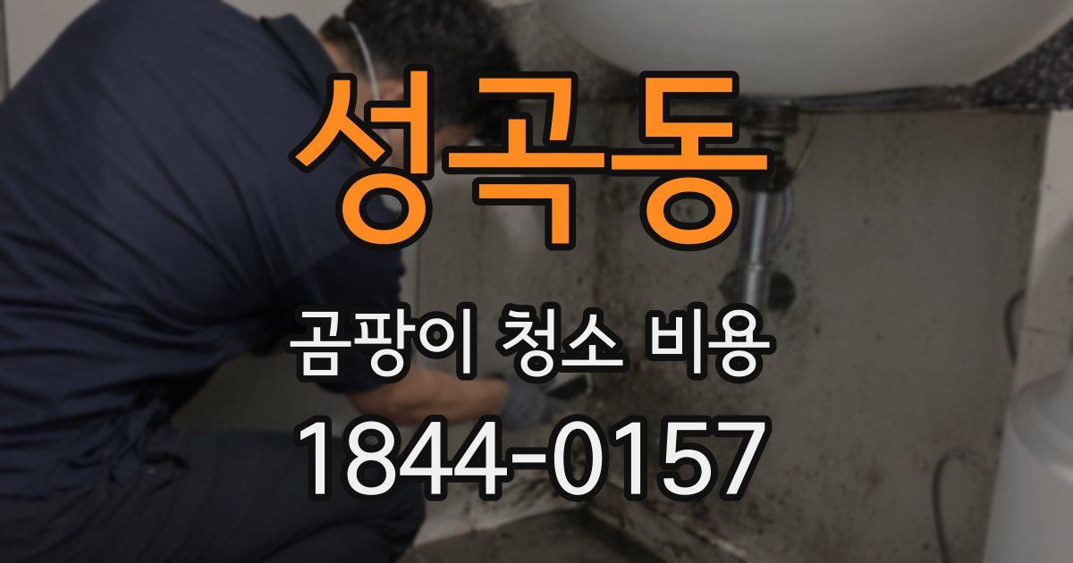 성곡동 곰팡이 청소 비용