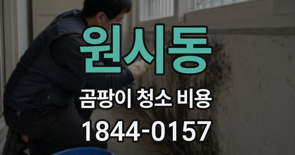 원시동 곰팡이 청소 비용