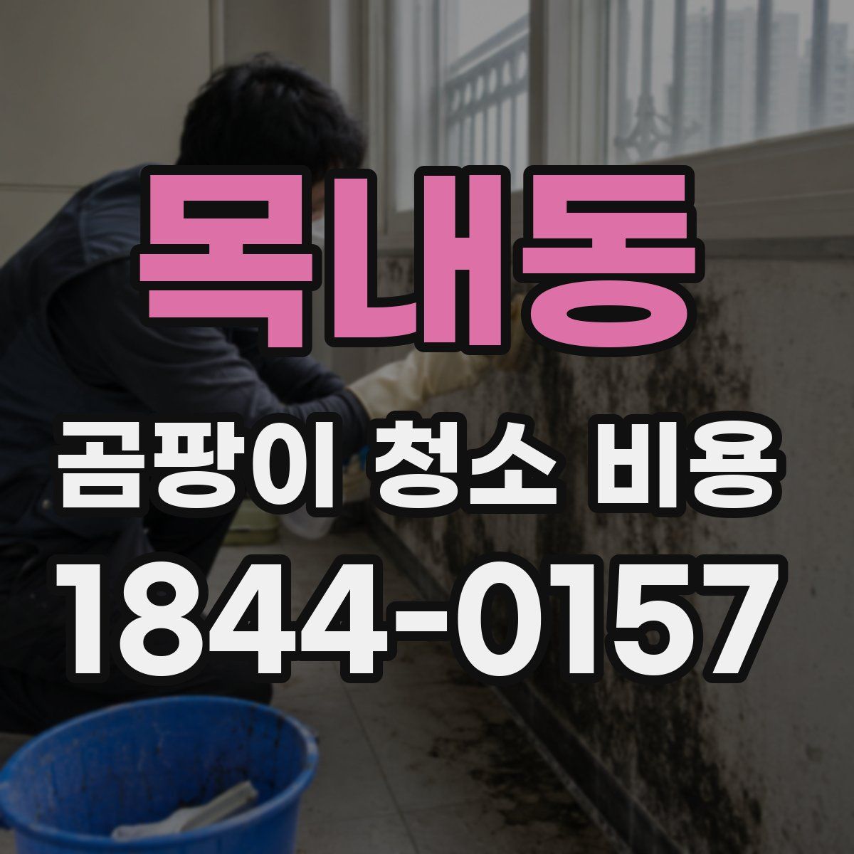 목내동 곰팡이 청소 비용