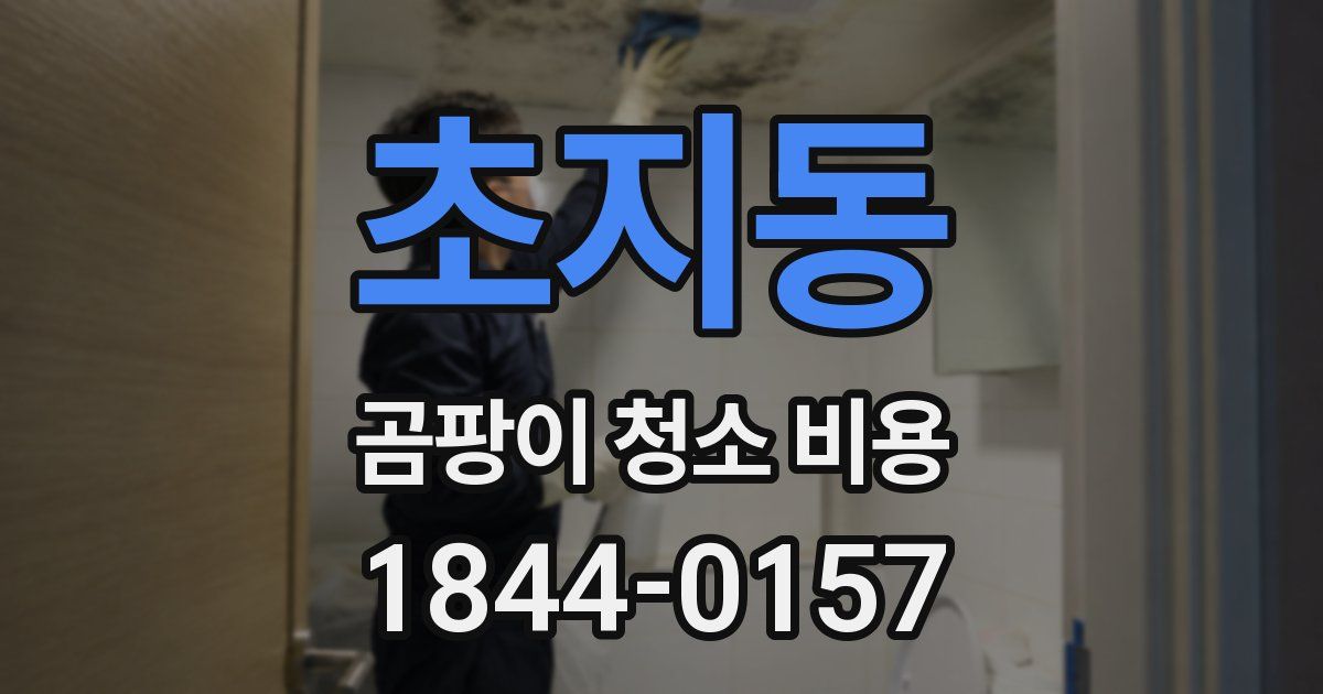 초지동 곰팡이 청소 비용
