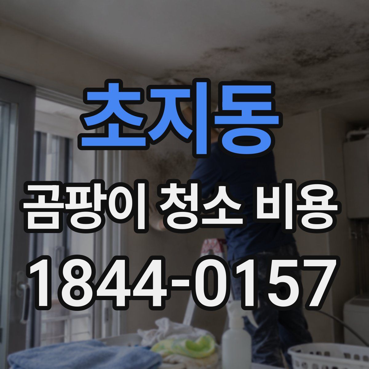 초지동 곰팡이 청소 비용
