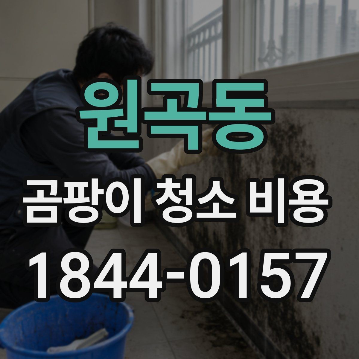 원곡동 곰팡이 청소 비용 원룸과 오피스텔에서 자주 나오는 문의