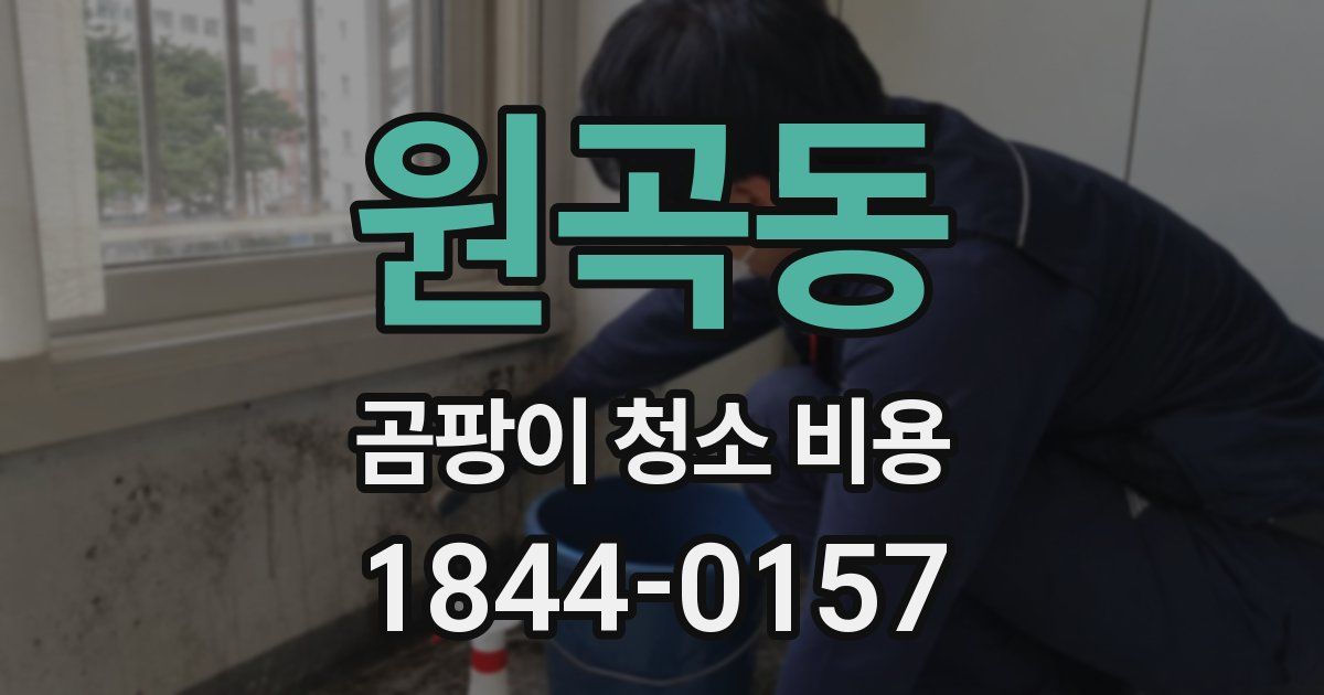 원곡동 곰팡이 청소 비용