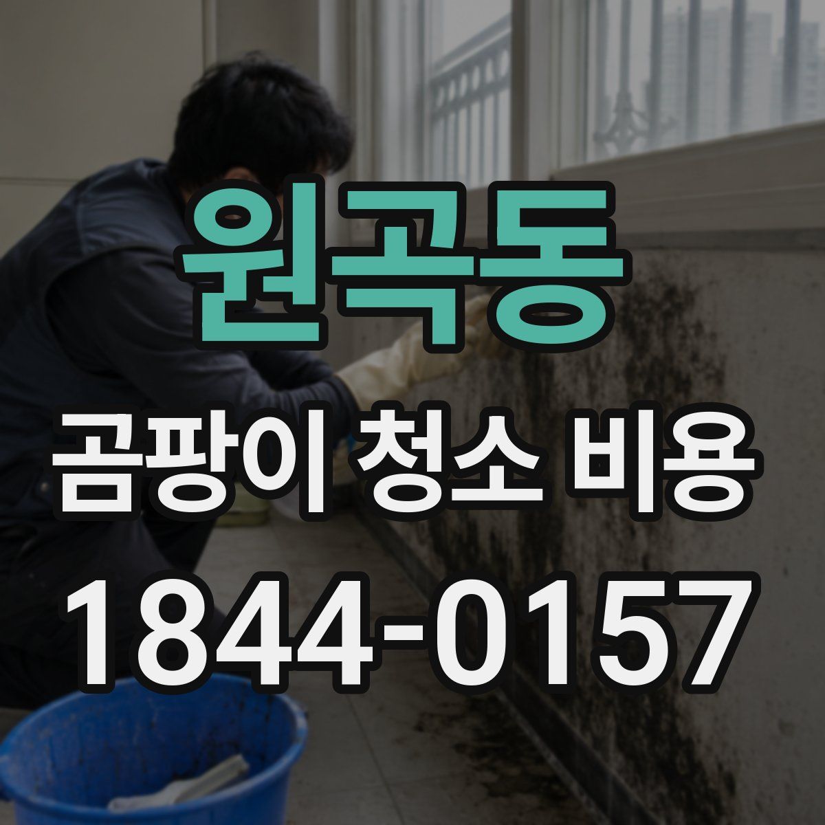 원곡동 곰팡이 청소 비용