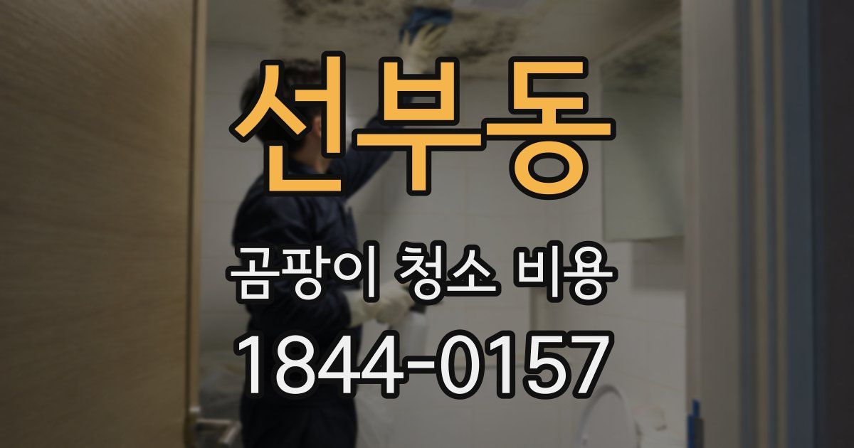 선부동 곰팡이 청소 비용