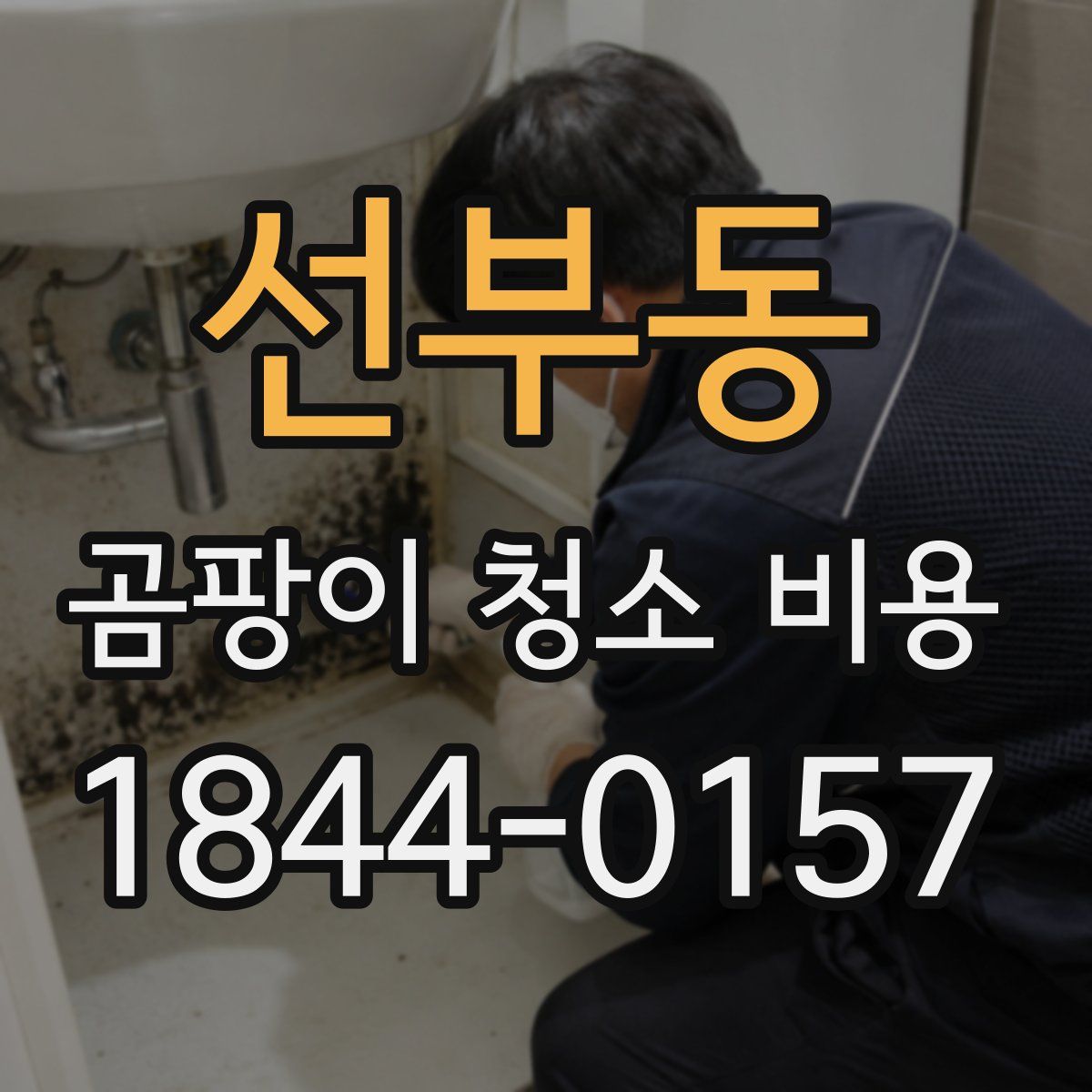 선부동 곰팡이 청소 비용