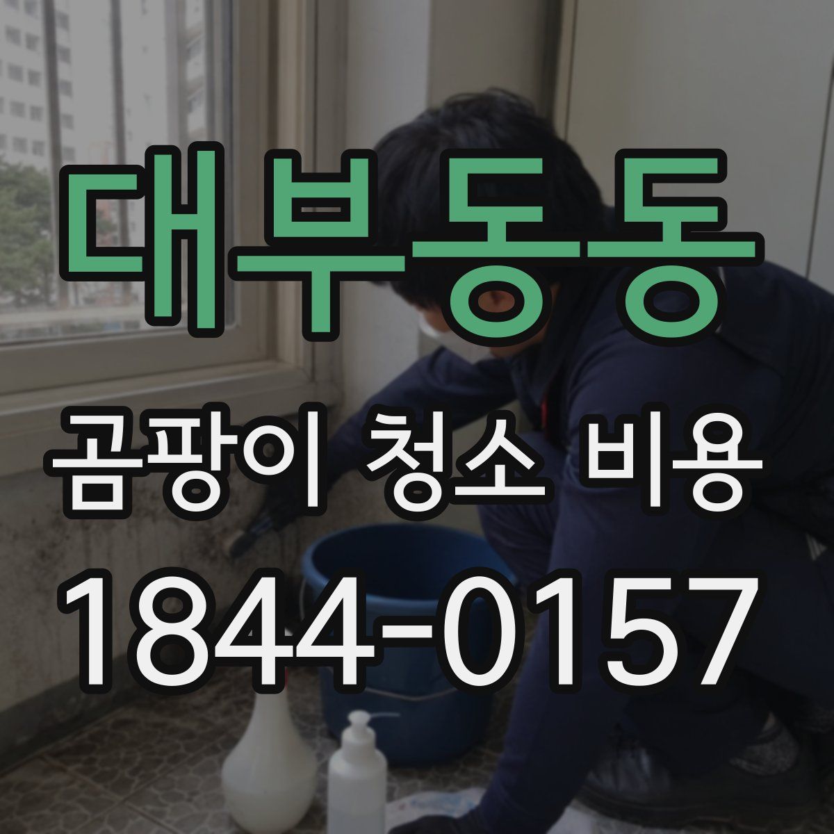 대부동동 곰팡이 청소 비용