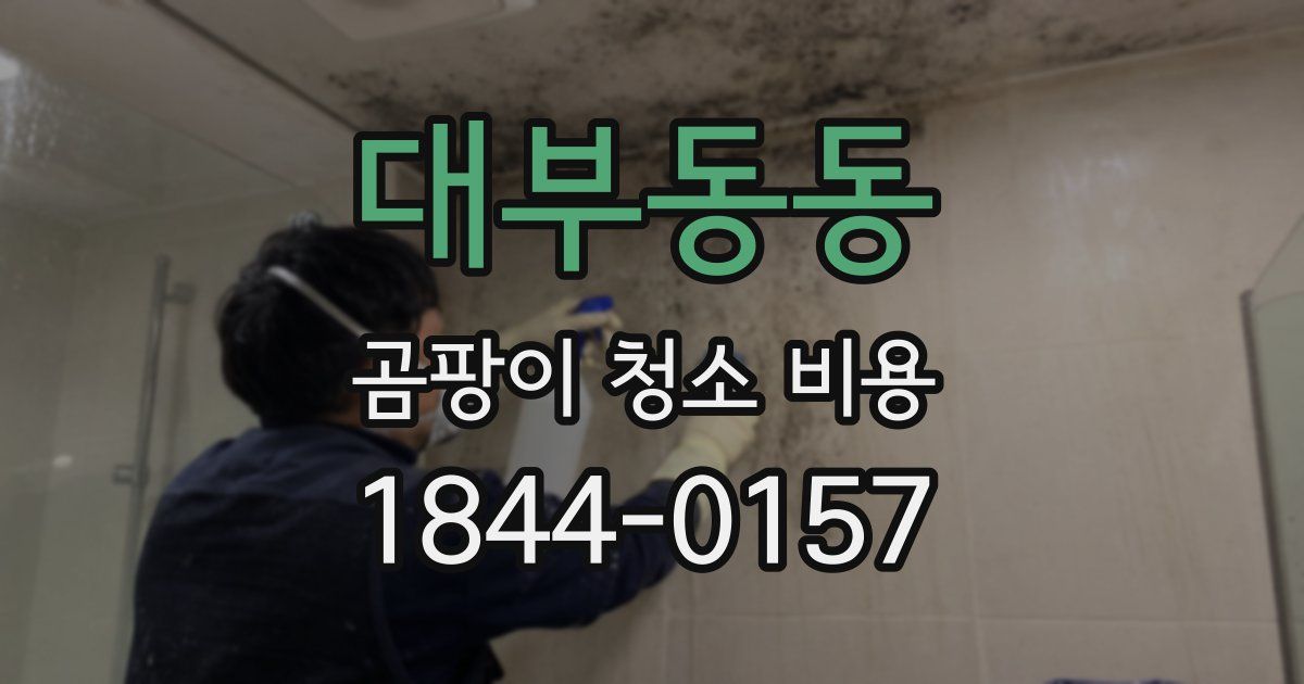 대부동동 곰팡이 청소 비용
