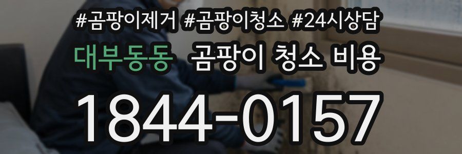 대부동동 곰팡이 청소 비용