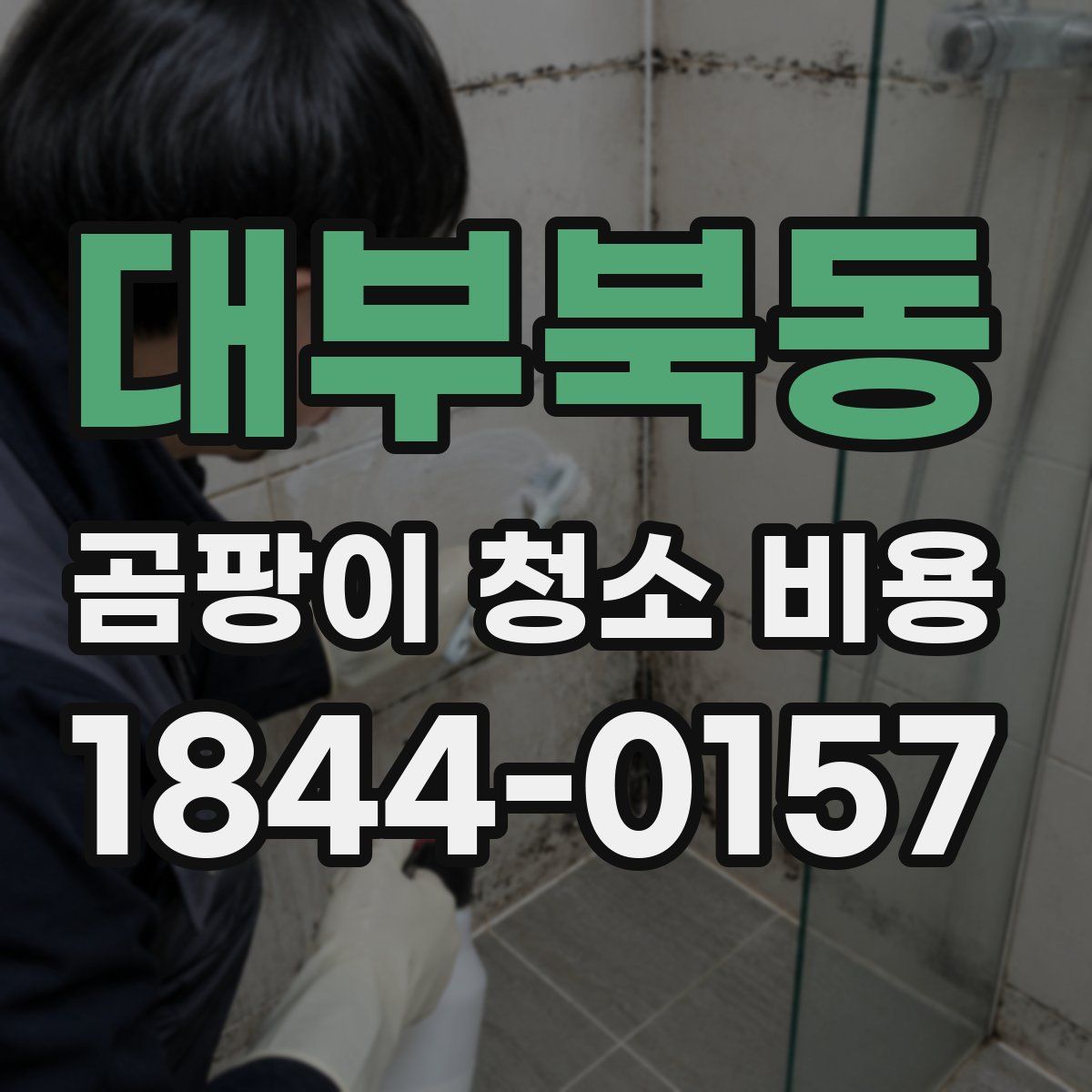대부북동 곰팡이 청소 비용