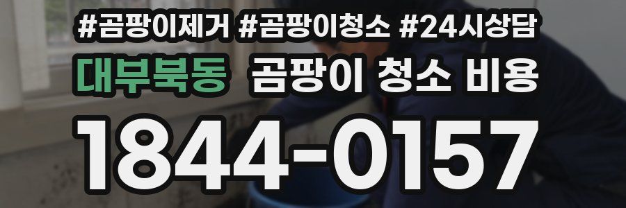 대부북동 곰팡이 청소 비용