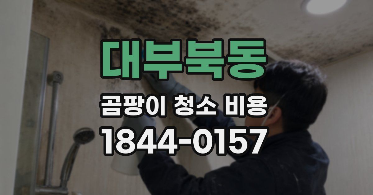 대부북동 곰팡이 청소 비용