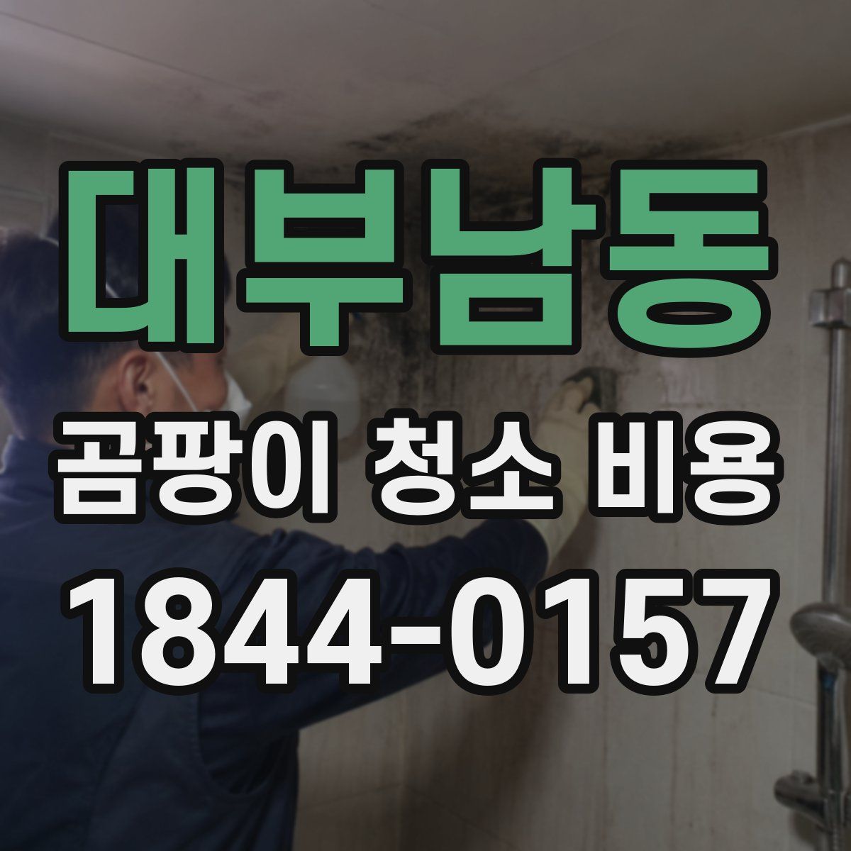 대부남동 곰팡이 청소 비용