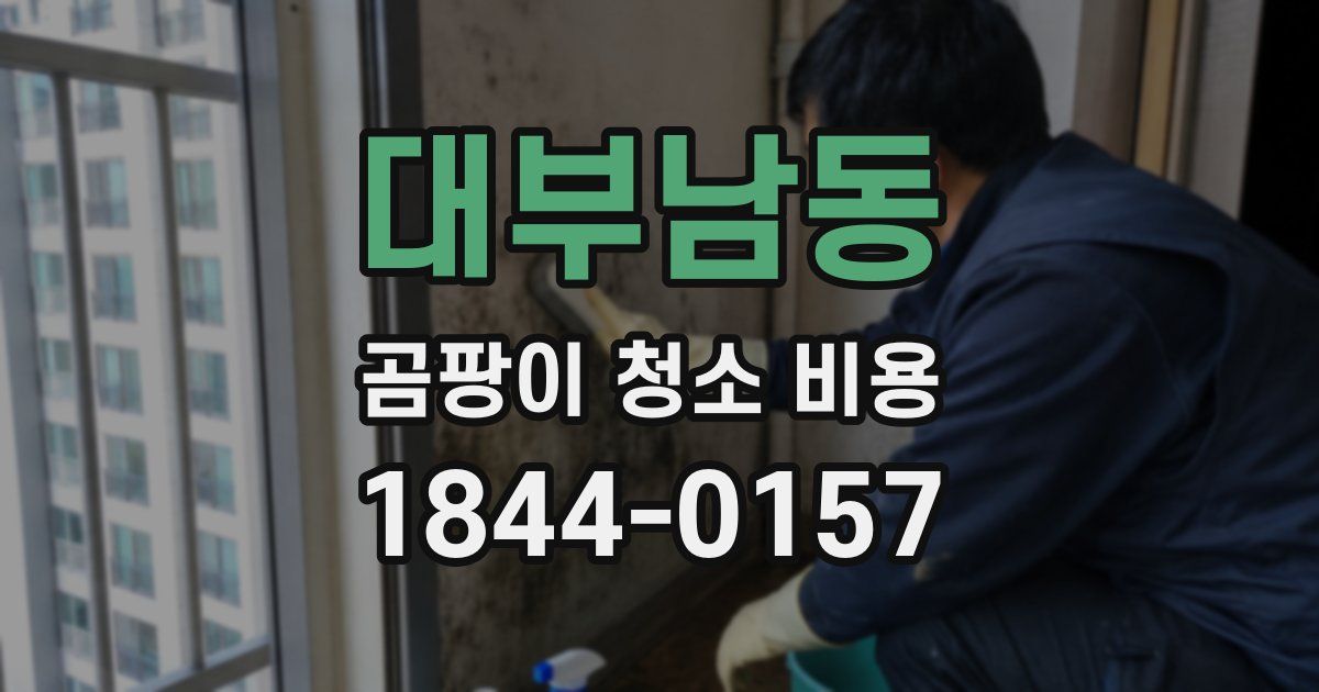 대부남동 곰팡이 청소 비용