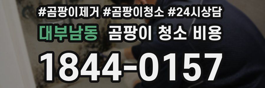 대부남동 곰팡이 청소 비용