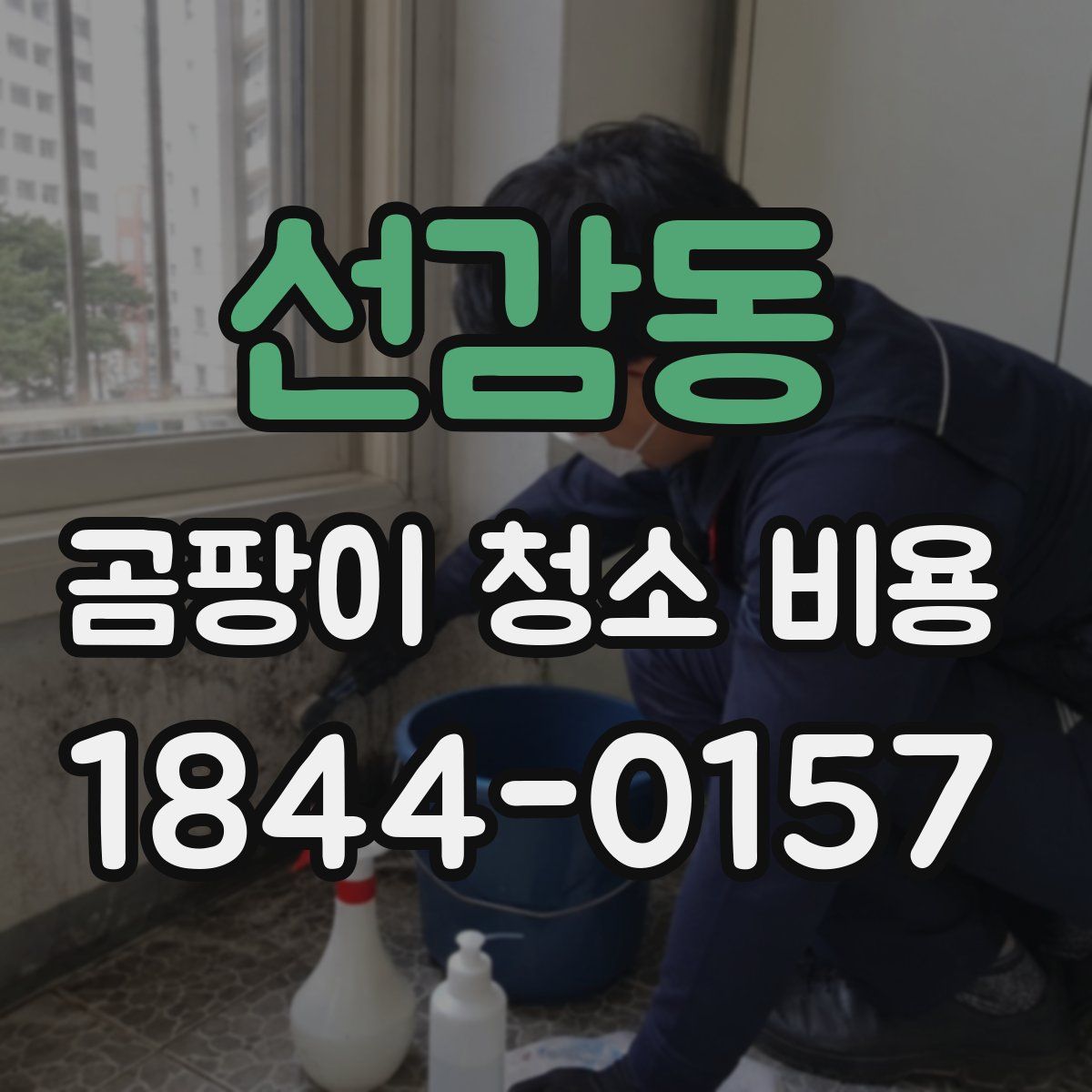 선감동 곰팡이 청소 비용
