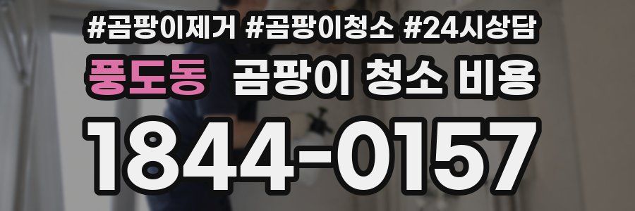 풍도동 곰팡이 청소 비용