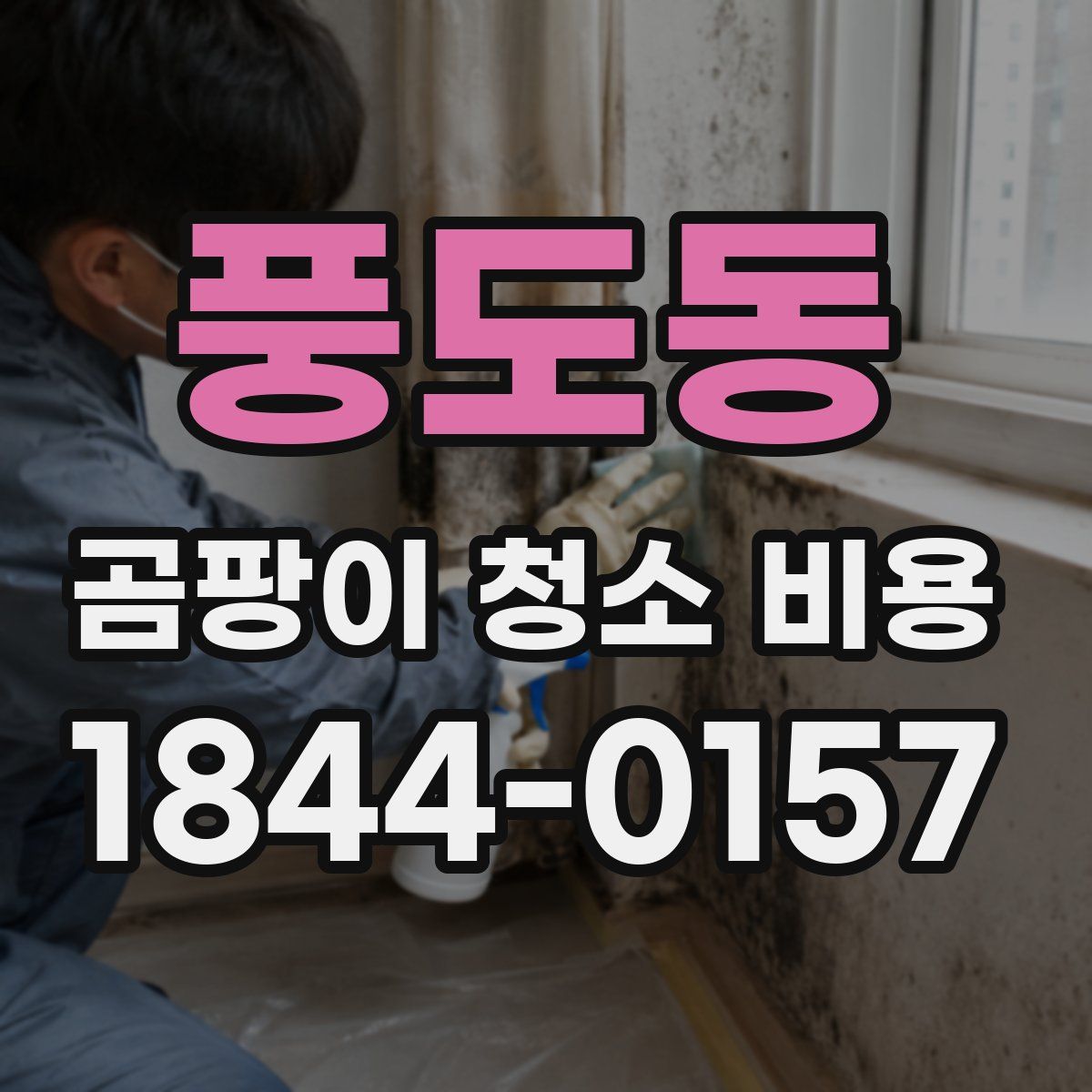 풍도동 곰팡이 청소 비용