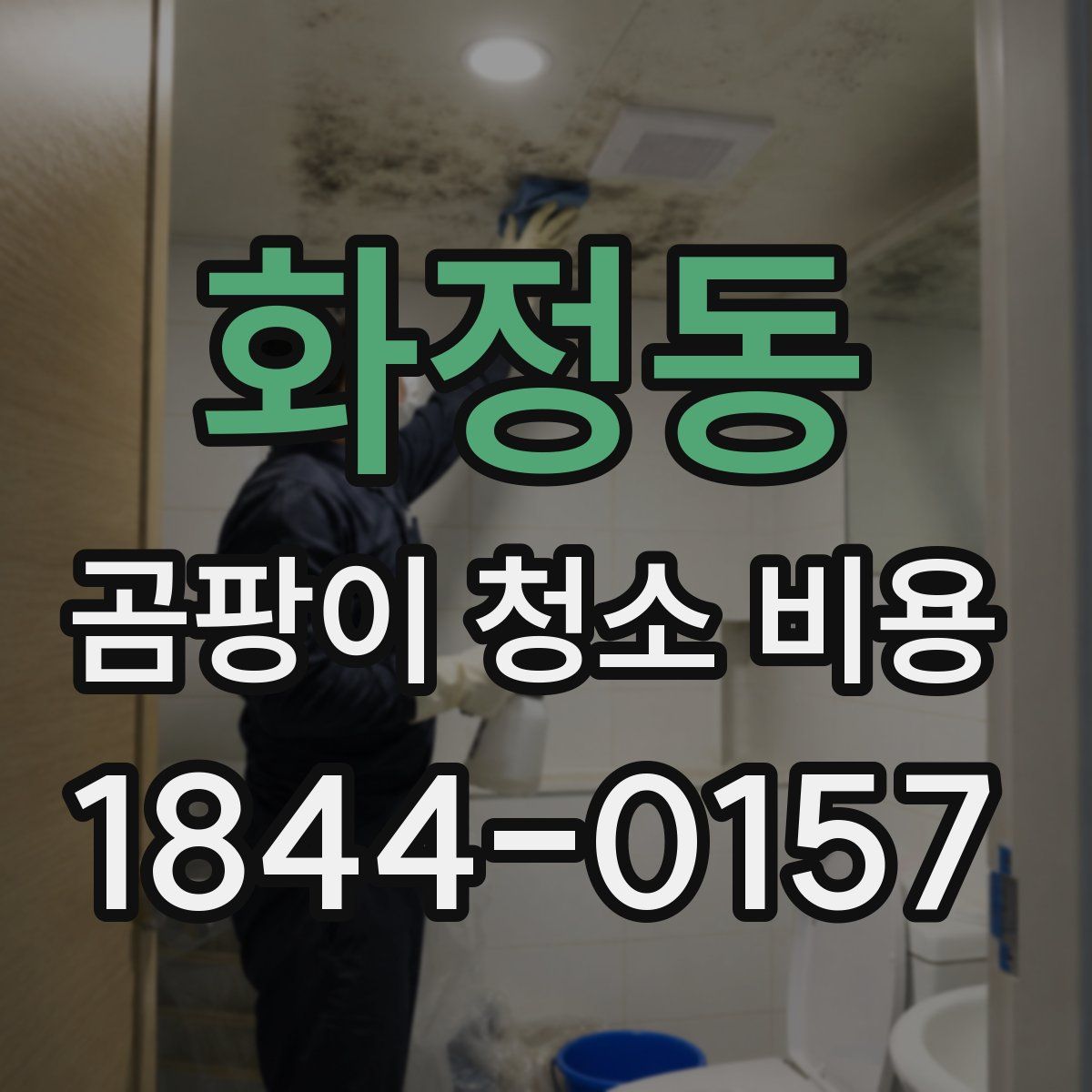 화정동 곰팡이 청소 비용