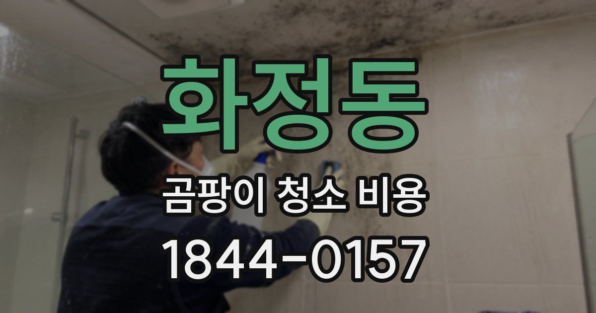 화정동 곰팡이 청소 비용