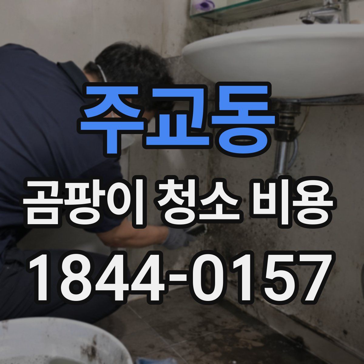 주교동 곰팡이 청소 비용