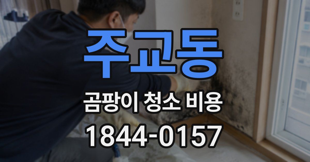 주교동 곰팡이 청소 비용