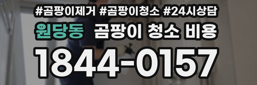 원당동 곰팡이 청소 비용