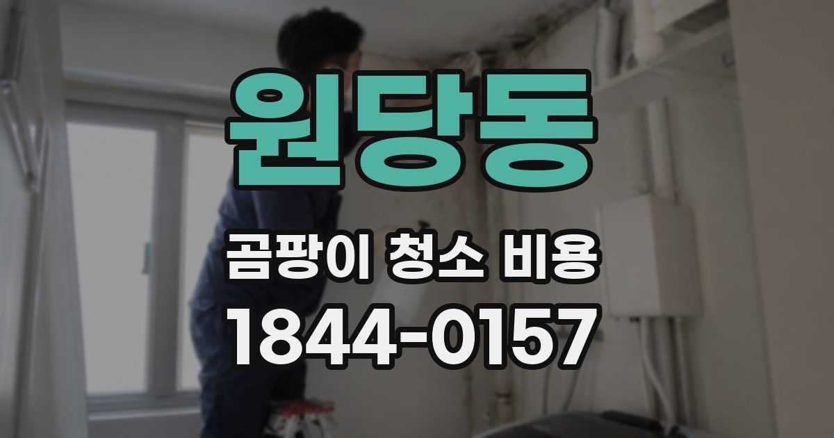 원당동 곰팡이 청소 비용