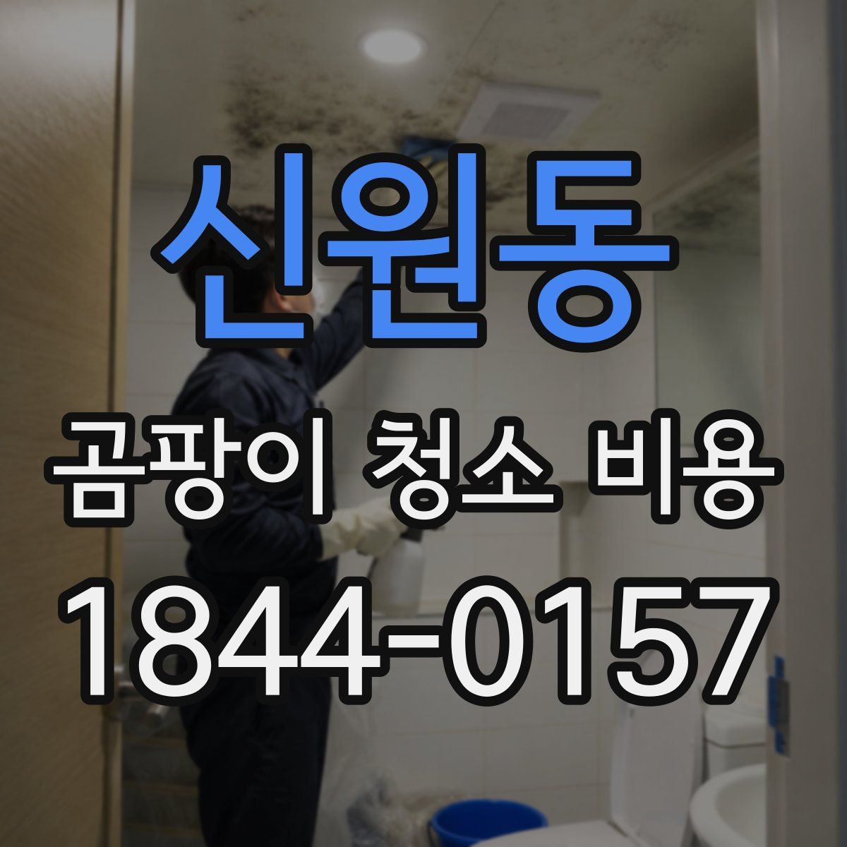 신원동 곰팡이 청소 비용