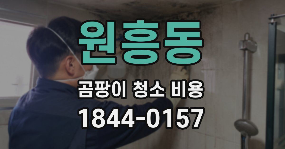 원흥동 곰팡이 청소 비용