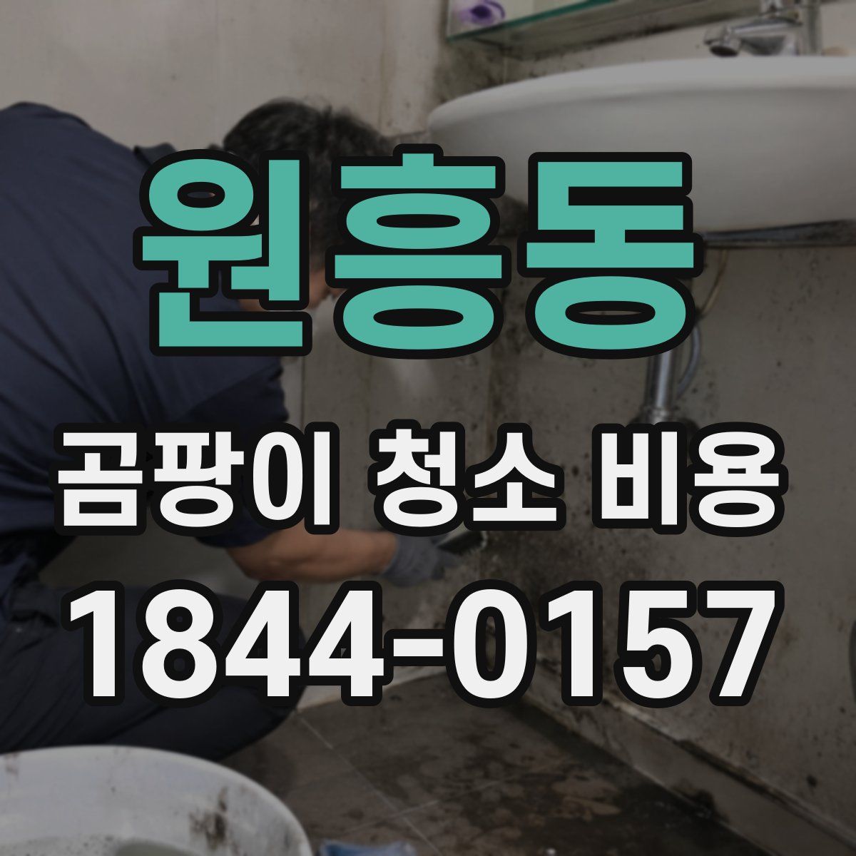 원흥동 곰팡이 청소 비용