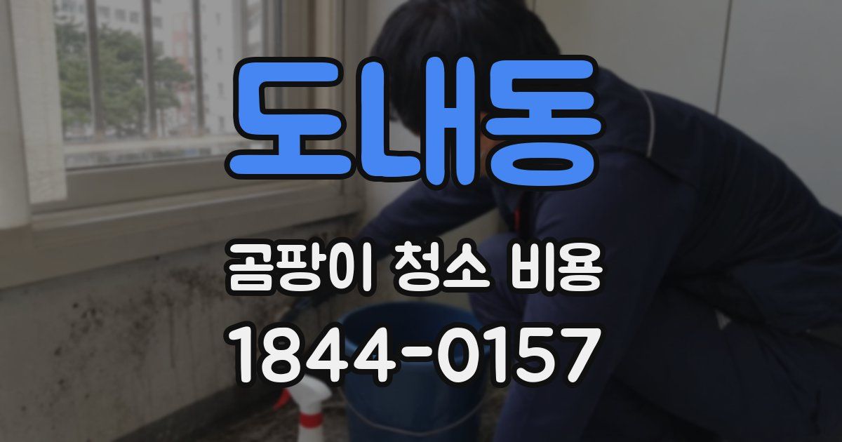 도내동 곰팡이 청소 비용