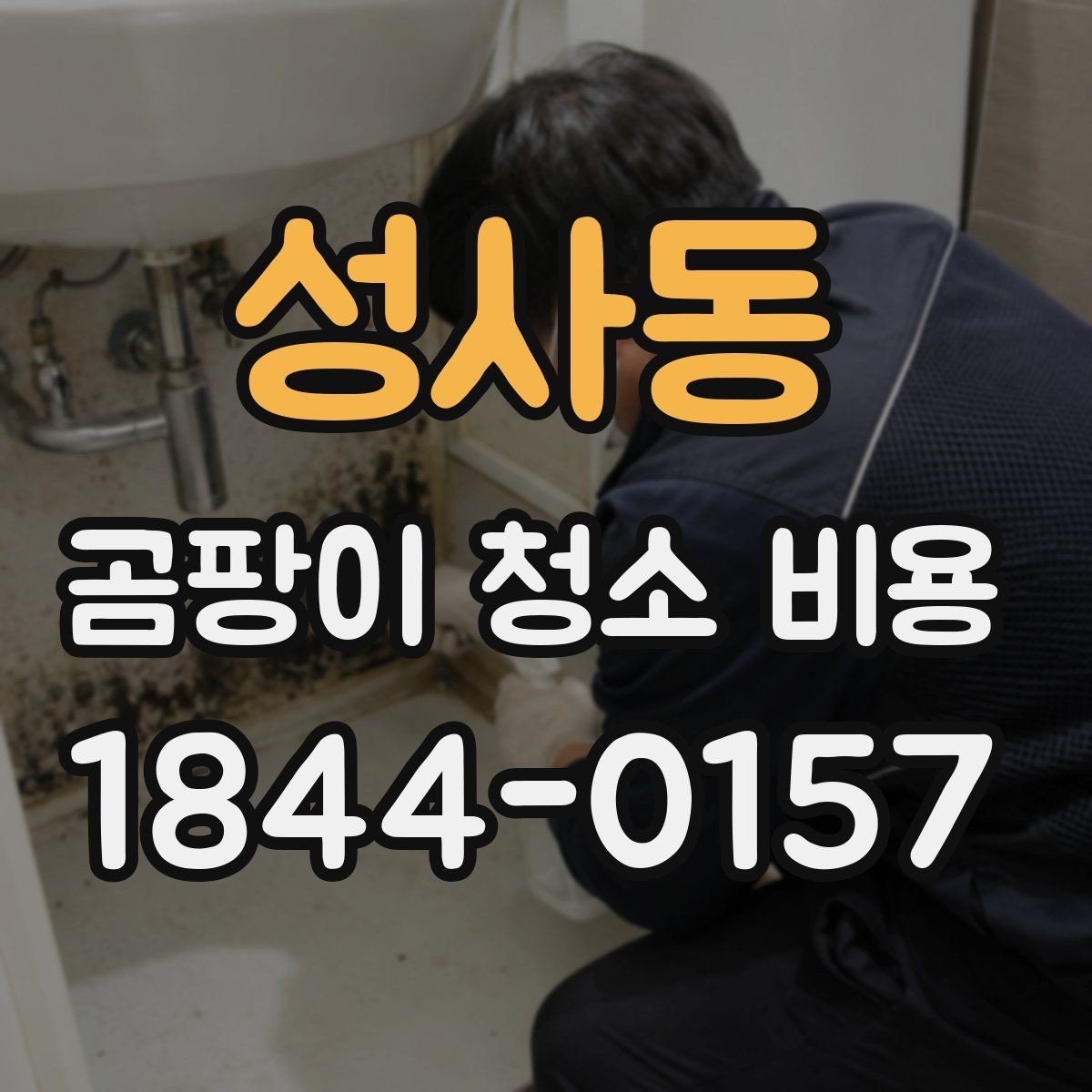 성사동 곰팡이 청소 비용 붙박이장 내부 오염이 넓을 때 볼 점