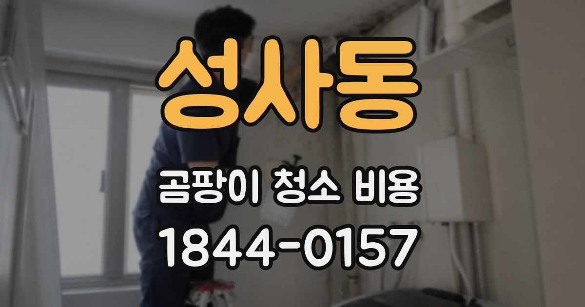 성사동 곰팡이 청소 비용