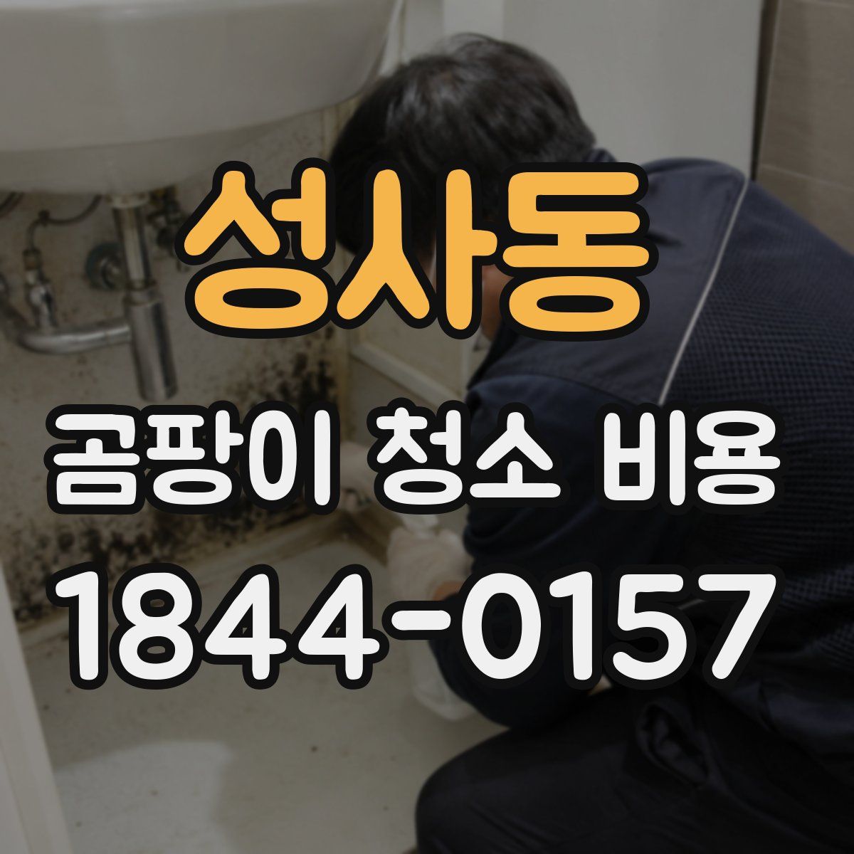 성사동 곰팡이 청소 비용