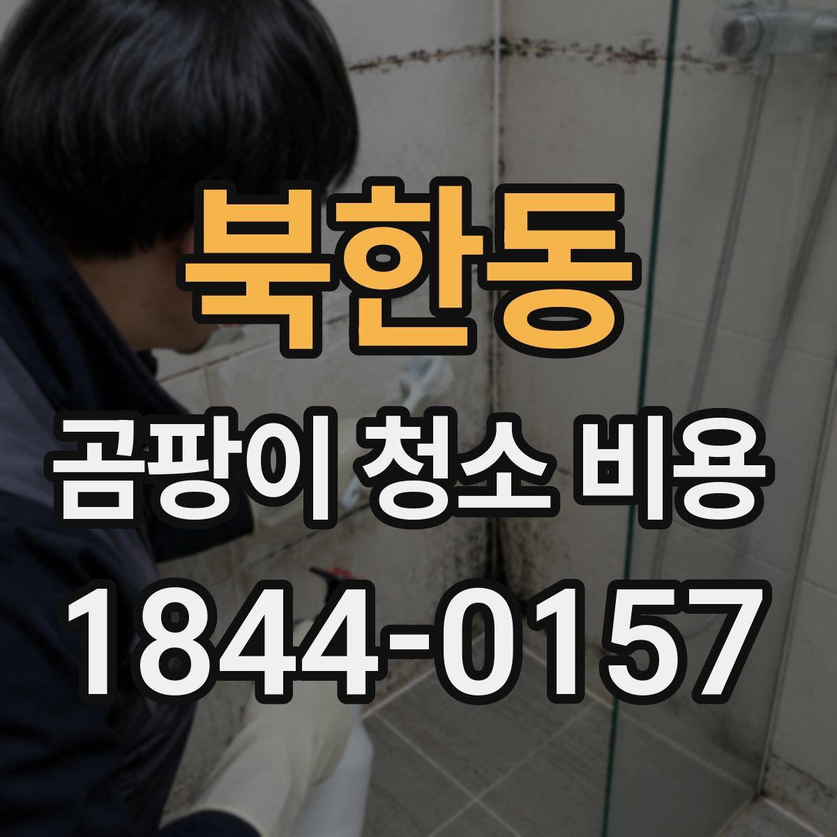 북한동 곰팡이 청소 비용