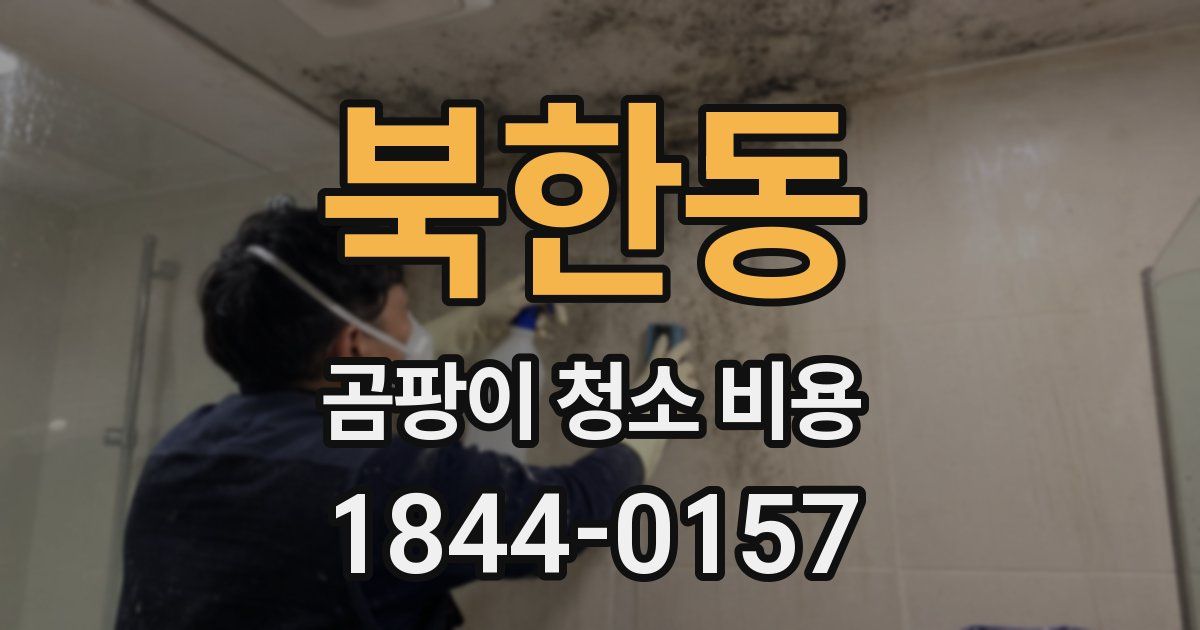 북한동 곰팡이 청소 비용