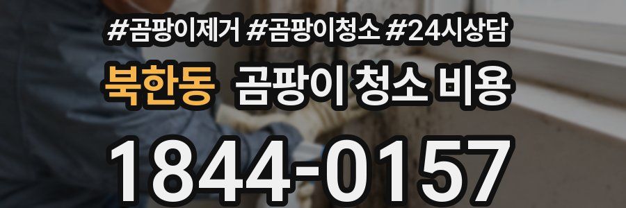 북한동 곰팡이 청소 비용