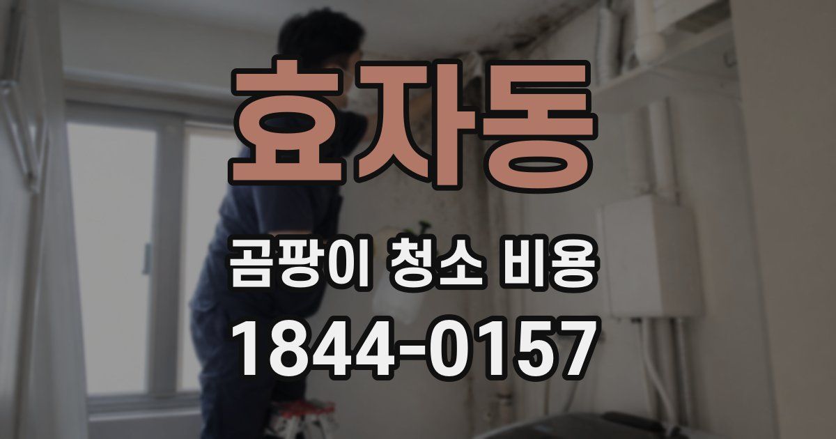 효자동 곰팡이 청소 비용