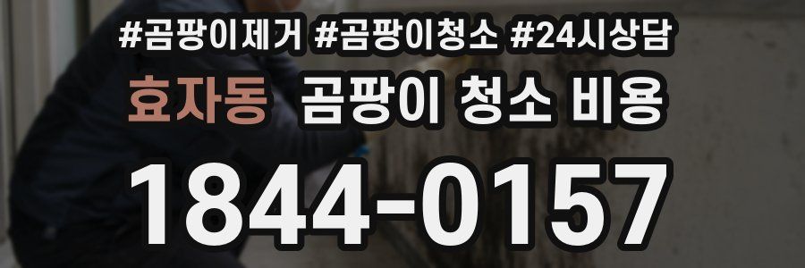 효자동 곰팡이 청소 비용