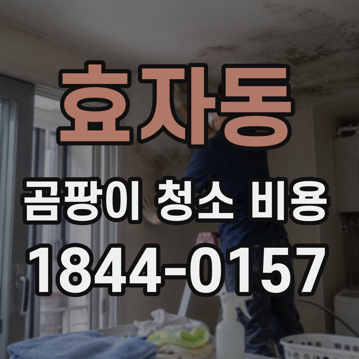 효자동 곰팡이 청소 비용