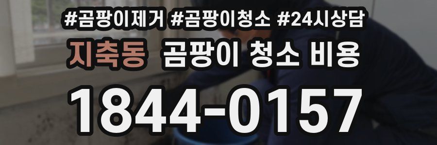 지축동 곰팡이 청소 비용
