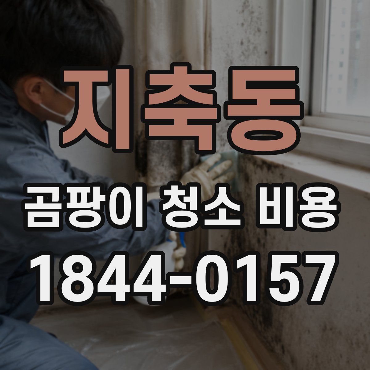 지축동 곰팡이 청소 비용