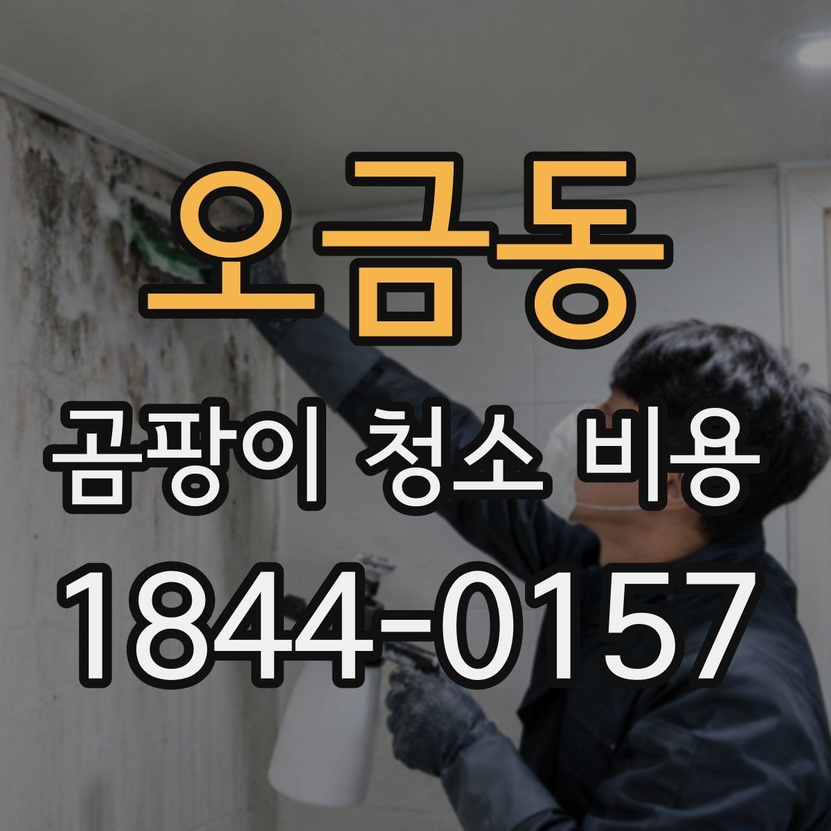 오금동 곰팡이 청소 비용 단순 제거와 방지 처리의 차이