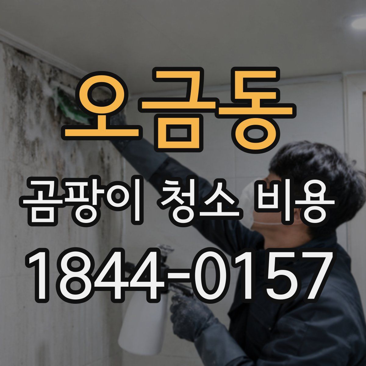 오금동 곰팡이 청소 비용